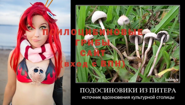 метадон Ладушкин