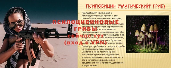 apvp Алексеевка
