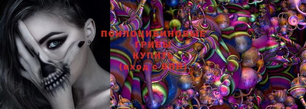 apvp Алексеевка