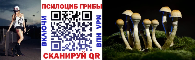 Псилоцибиновые грибы GOLDEN TEACHER купить наркоту Ейск