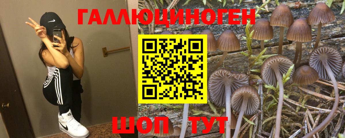 Ейск  Псилоцибиновые грибы ЛСД  закладки  Вход с VPN  Галлюциногенные грибы мухоморы 